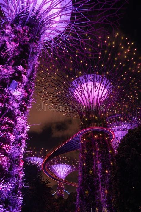 Light Show Of Giant Trees At Garden By The Bay At Night In Singapore