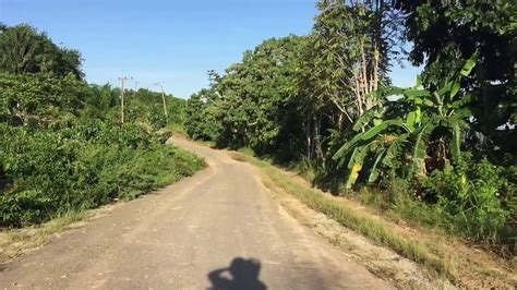 Kst on sbs introduction law of the jungle (korean: The jungle in Borneo,east Kalimantan - YouTube