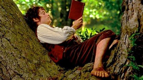 Frodo Of The Shire Frodo Baggins The Hobbit Lord Of The Rings