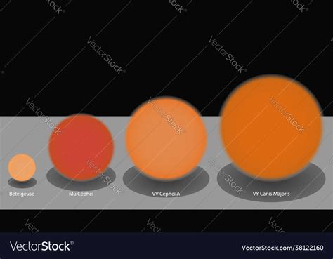 Stars Sizes Comparison Royalty Free Vector Image