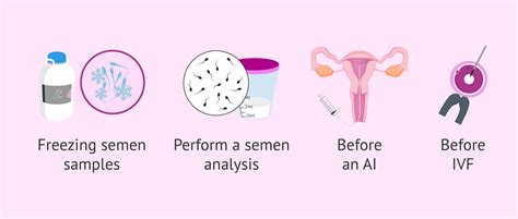 how does sexual abstinence affect sperm quality