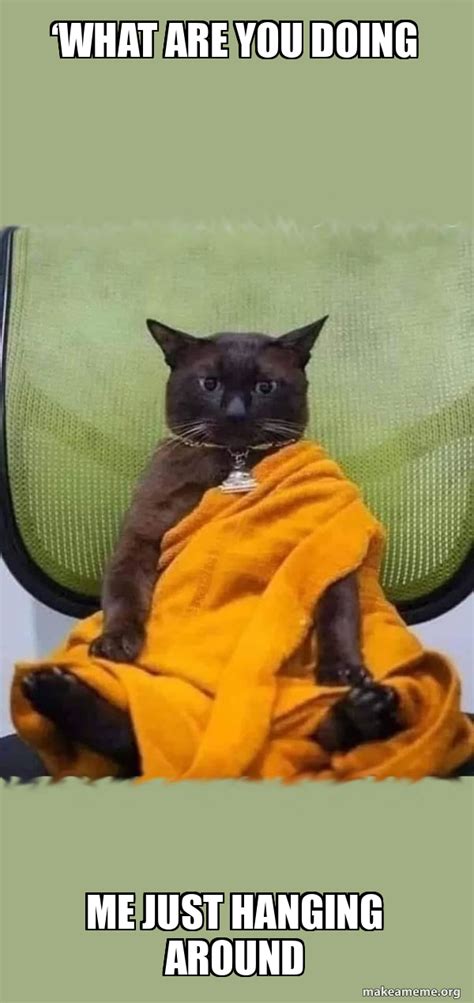‘what Are You Doing Me Just Hanging Around Zen Cat Make A Meme