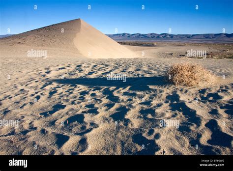 A Sand Dune Above The White Bluffs Of The Hanford Reach Along The