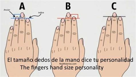 El Tamaño Dedos De La Mano Dice Tu Personalidad‏