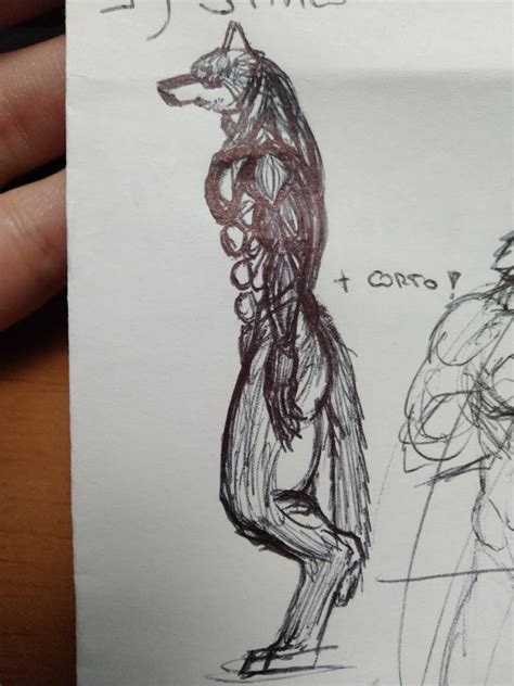 Werewolf Anatomy Study By Thunderwere On Deviantart