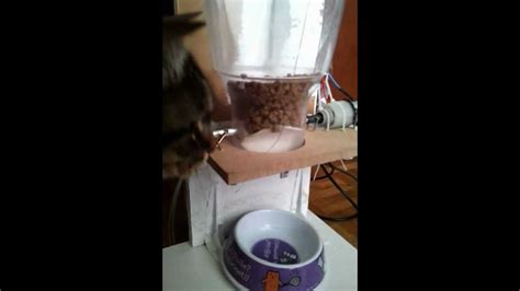 Diy Cat Feeder From Cereals Dispenser Youtube