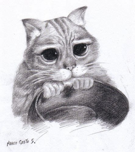 Dibujar Gato A Lápiz Cuidar Gatitos Fotos Razas Gatos