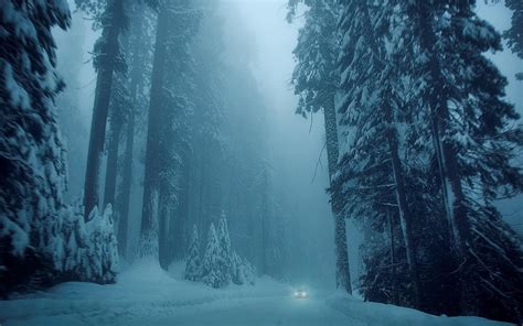 Foggy Winter Night Wallpapers Wallpaper Cave