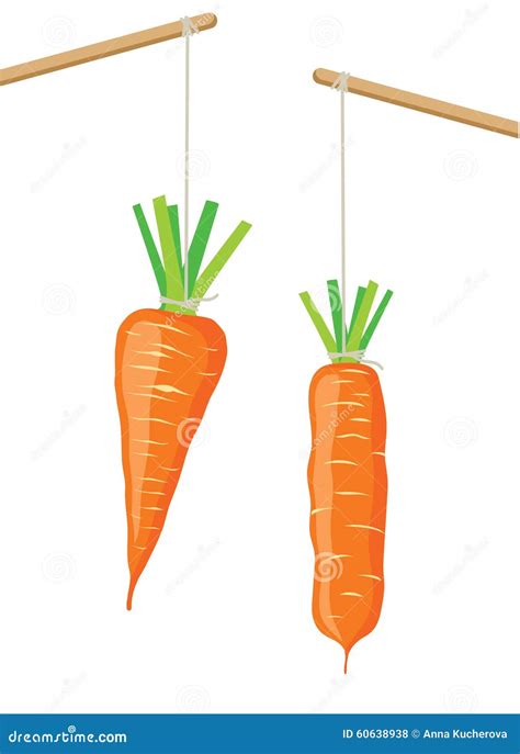 Carrot On A Stick Stock Vector Illustration Of Simple 60638938