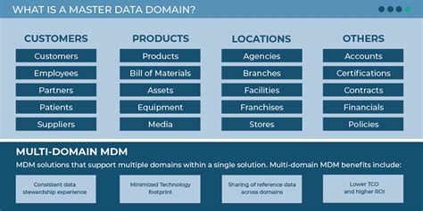 Mdm 101 What Is Master Data • Profisee
