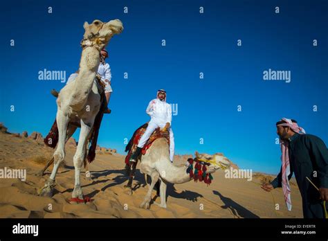 Riding camels; Madain Saleh, Saudi Arabia Stock Photo - Alamy