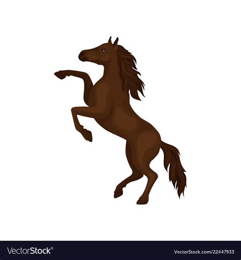 Gorgeous Horse Rearing Up Domestic Animal Vector Image