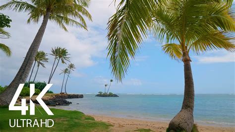 4K/ 4K HDR Relaxing Tropical Beach | ProArtInc