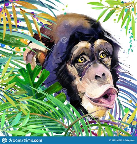 Monkey In The Rainforest Watercolor Tropical Nature Illustration