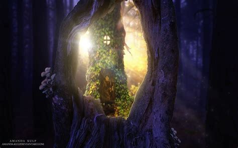 If You Found It Would You Enter Portal To The Fairy World By Amanda