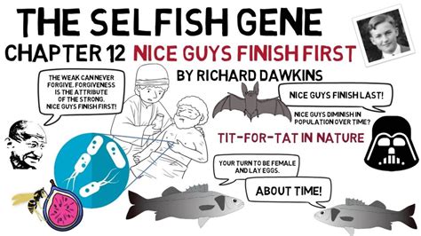 The Selfish Gene Chapter 12 Nice Guys Finish First By Richard Dawkins