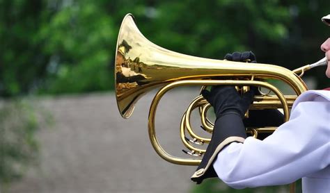 The Different Types Of French Horn A Complete Guide