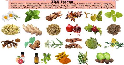 Irritable Bowel Syndrome Herbs Ibs Herbs