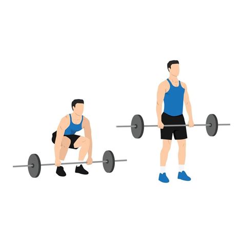 Man Doing Barbell Deadlifts Exercise Flat Vector Illustration Isolated