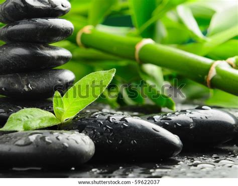 Black Zen Stones Plant Water Stock Photo 59622037 Shutterstock