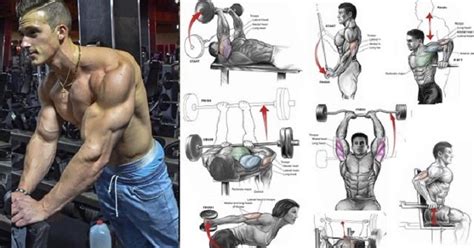 The Best Tricep Exercises For Mass Bodydulding