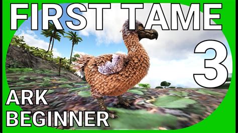 Ark Survival Evolved Beginner Guide Part First Tame And More