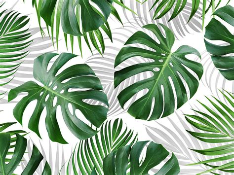 Tropical Leaves Pattern Background Design Photograph By Natee Srisuk