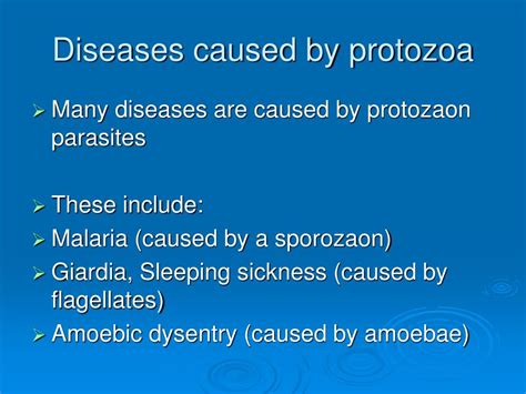 Ppt Viii Protozoan Diseases Powerpoint Presentation Free To Hot Sex Picture