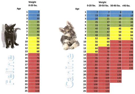 32 Best Pictures Cat Weight Chart Kg Whiskas Hairball Control Adult 1 Year Dry Cat Food