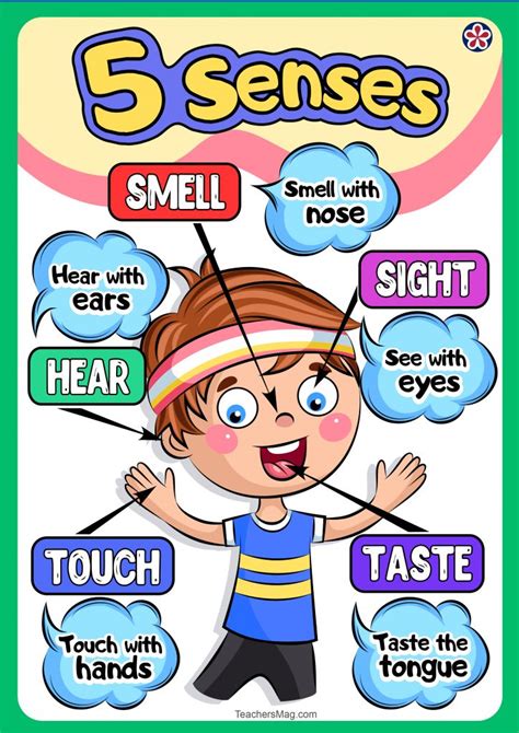 Free Downloadable Senses Poster Set