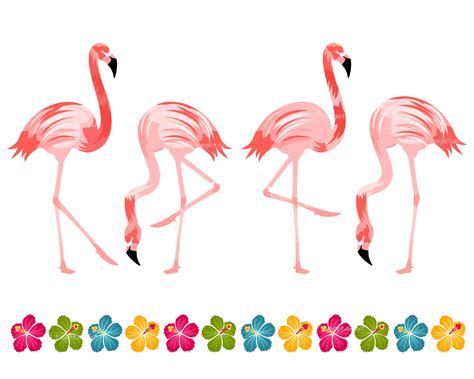 Flamingo Birds Set Hibiscus Border Vector Illustrations
