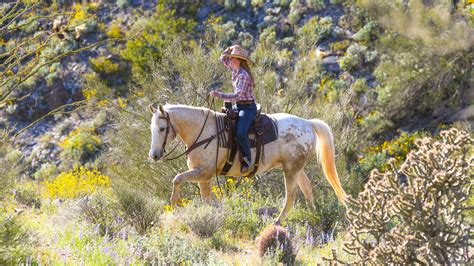 Trail Rides Horseback Riding Phoenix Arizona Blog