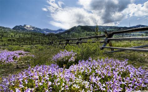 Texas Ranch Wallpaper 57 Images