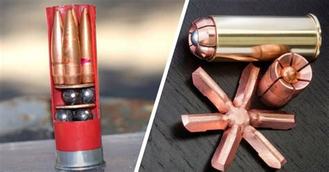 Here Is A Look At Some Of The Best Shotgun Ammo For Home Defense