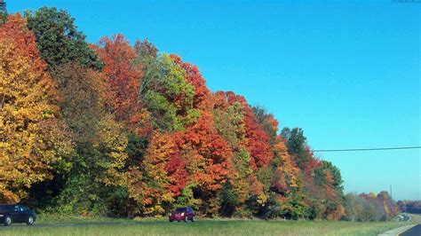 Some Fall Colors Along Interstate 65 North In Southern Indiana 1016