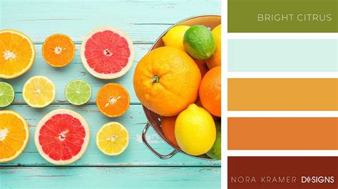 8 Beautiful Color Palettes For Your Next Web Project