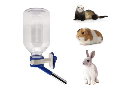 Top 10 Best Gerbil Small Animal Water Bottles Reviews And Expert