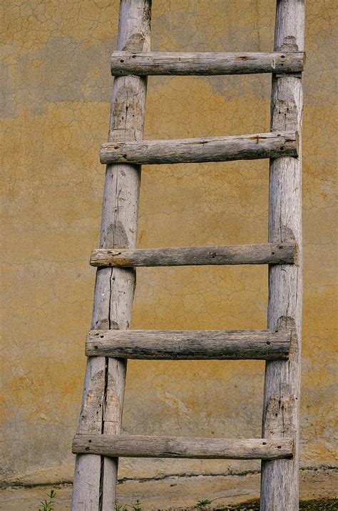 Vtg wood 2 step ladder rustic farm country barn decor garden yard plant stand. Rustic Wooden Ladder Photograph by Heba Edward