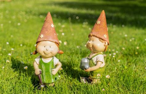 1000 Happy Garden Gnome Stock Photos Free And Royalty Free Stock