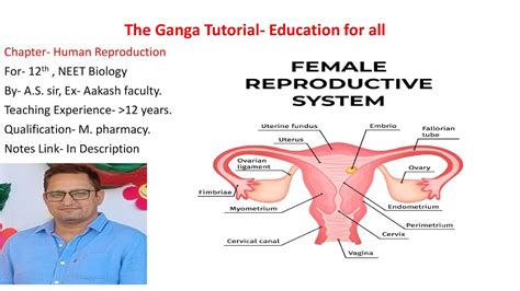 Human Reproduction L 8 Female R System 12 Class Biology Ncert Neet