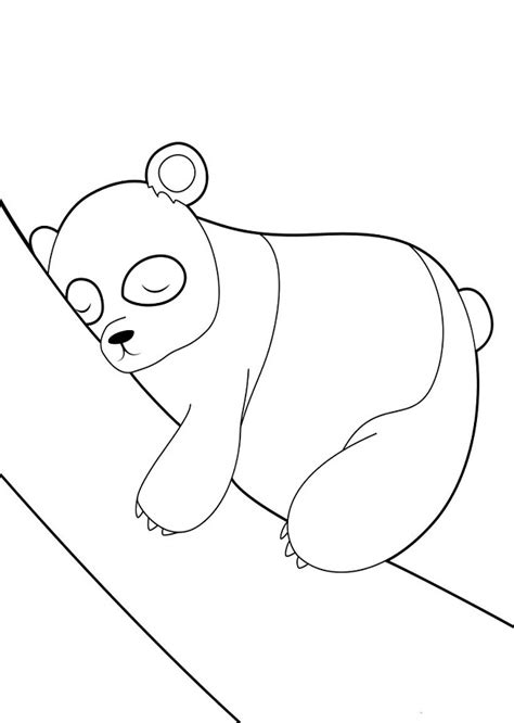 Dibujos Para Colorear Oso Panda Dibujos Para Colorear Y Pintar Images