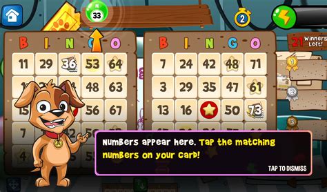 Play Top 5 Free Bingo Games For Experts And Beginners
