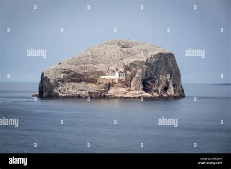 Bass Rock Near To North Berwick Scotland Stock Photo Alamy