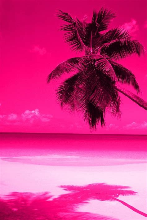 Pink Palm Trees Pink Wallpaper Tree Wallpaper Pink Wallpaper Iphone