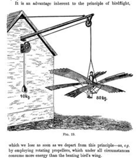 Though machines may differ in form, they are usually built on the same scale as these flying creatures. Electroactive Polymer (EAP) Ornithopter | This is fucking ...