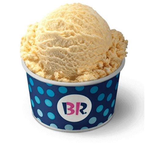 Baskin Robbins Sugar Free Ice Cream