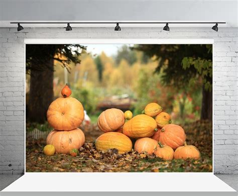 Laeacco Autumn Harvest Pumpkins Leaves Bokeh Scenic Photography