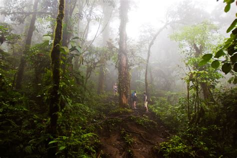 Exploring The Costa Rican Rainforest On Cerro Chato