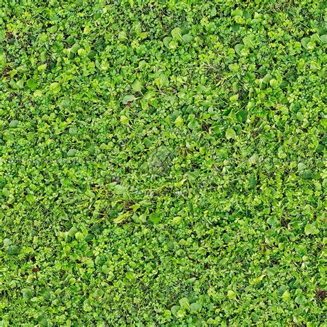 Grass Pbr Texture Seamless 21453