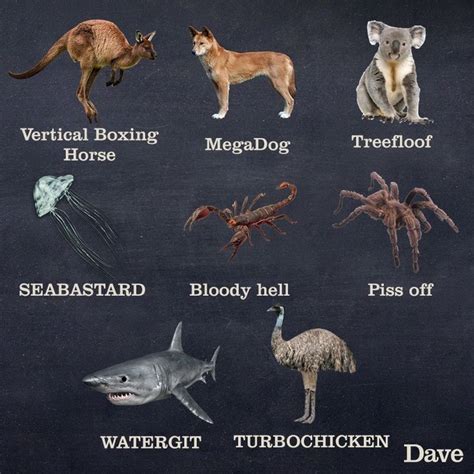 Pin By Dracos Wife On Literal Naming And Renaming Funny Animal Names